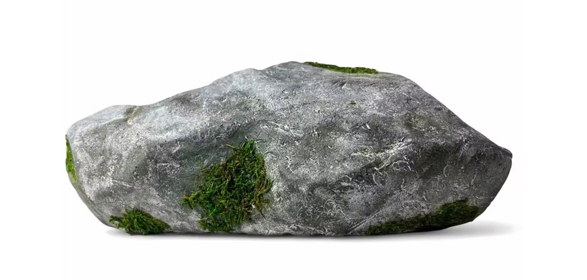 Bravest Studios Rock Shoe Canyaon Granite