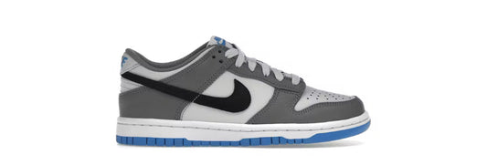 Nike Dunk Low Cool Grey Light Photo Blue (GS)