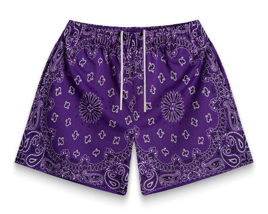Bravest Studios Screenprinted Paisley Two-Tone Purple Shorts